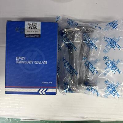ভালো দাম ISUZU 600P 4KH1 ইঞ্জিনের জন্য সাশ্রয়ী 8-971317292 OEM প্রতিস্থাপন ইনটেক ভালভ। অনলাইন