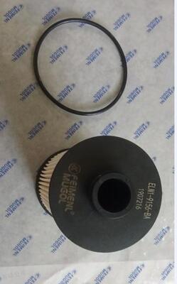 গুণ Genuine Quality ELN1-9156-BA Long Paper Diesel Filter for JMC Kaiyun Euro 6 & Shunda & Kairui কারখানা